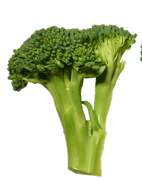 broccoli-2514165_640 (2)